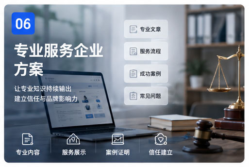 专业服务企业方案